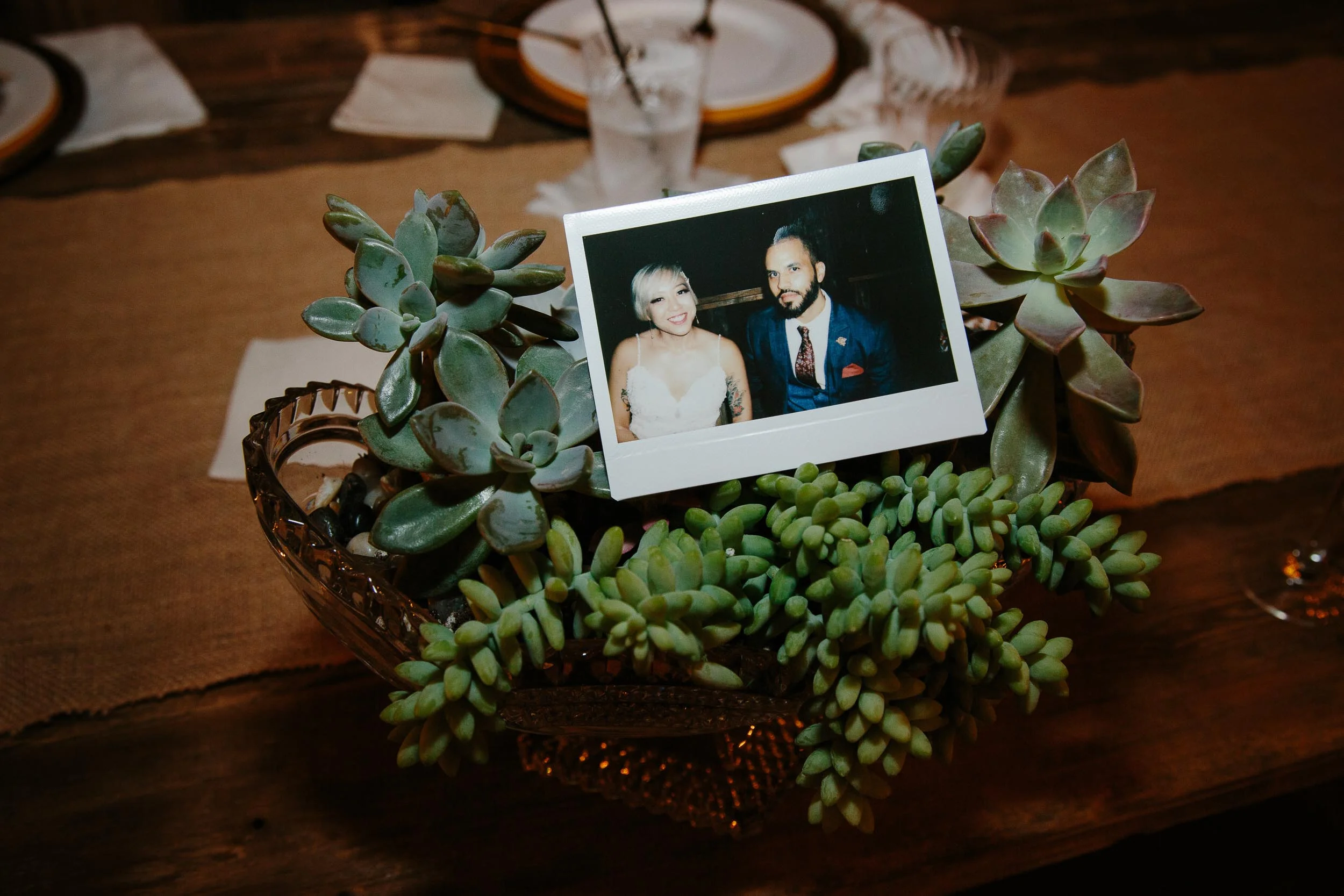 the-old-grove-miami-wedding--stellancy_38.jpg