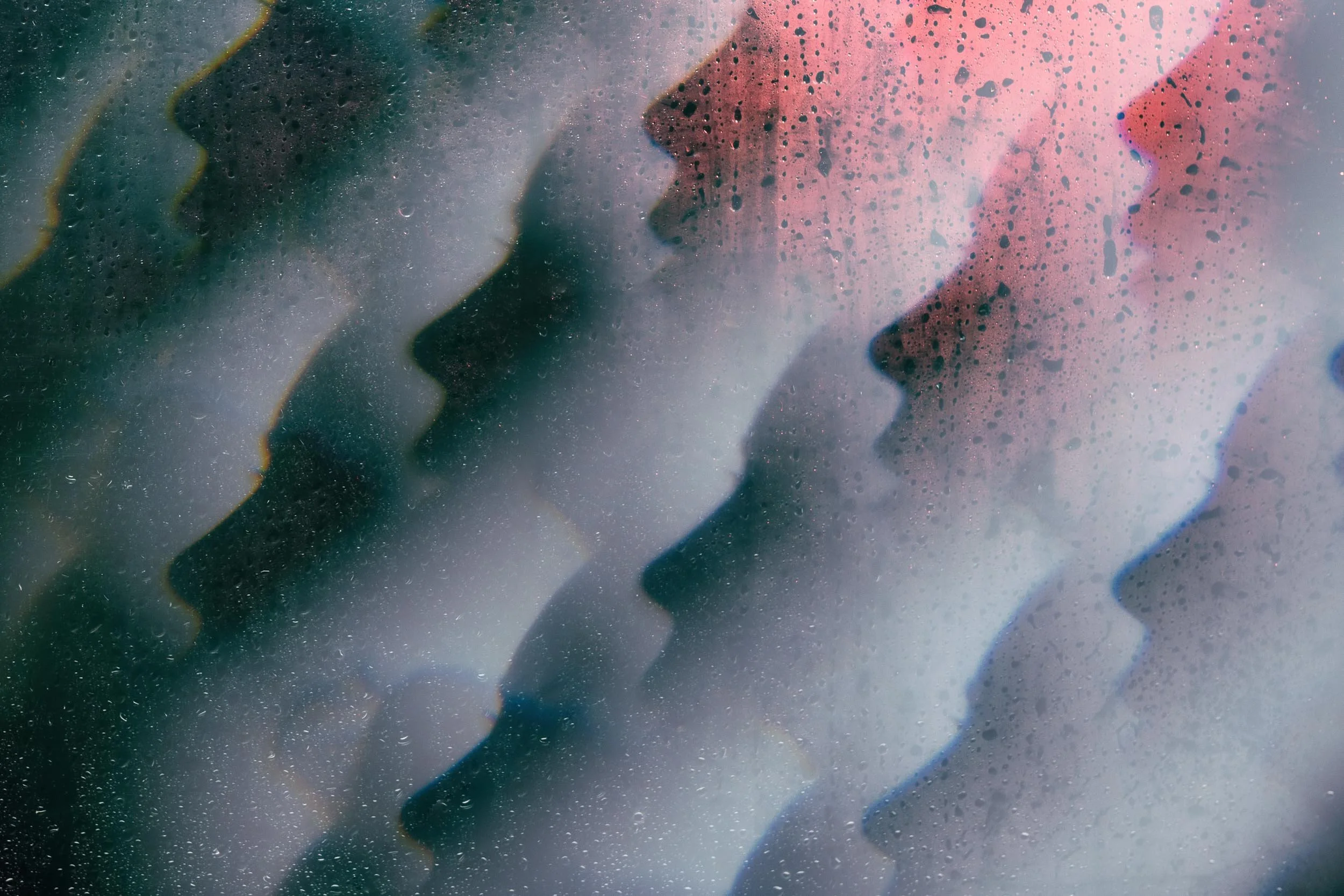 miami-self-portraits-stellancy_01.jpg