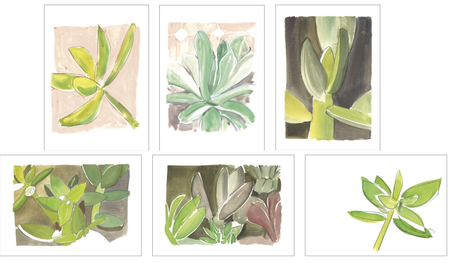 Cactus Press Notecard: Succulent Collection
