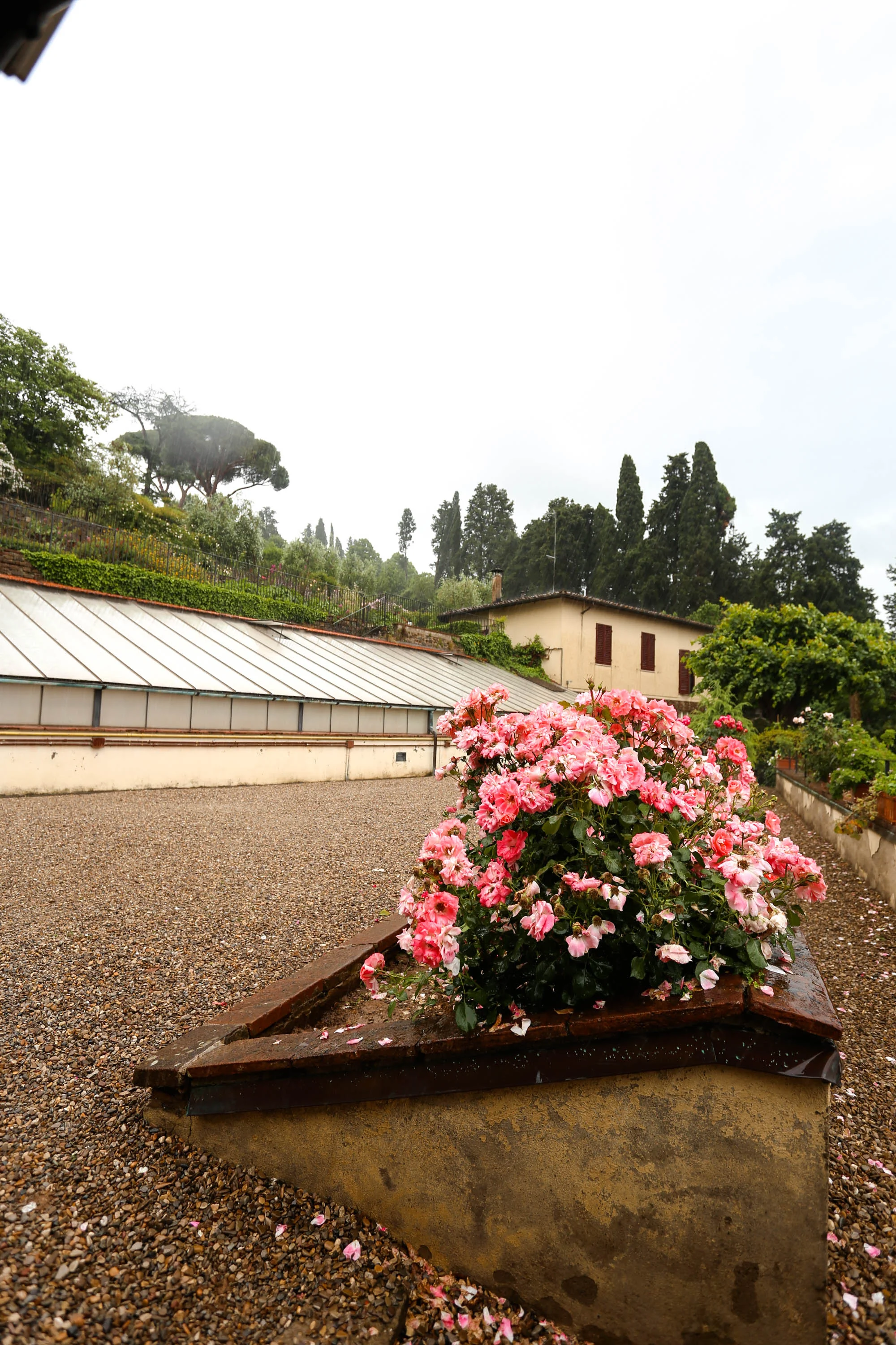 aeroplan italy photos-164.jpg