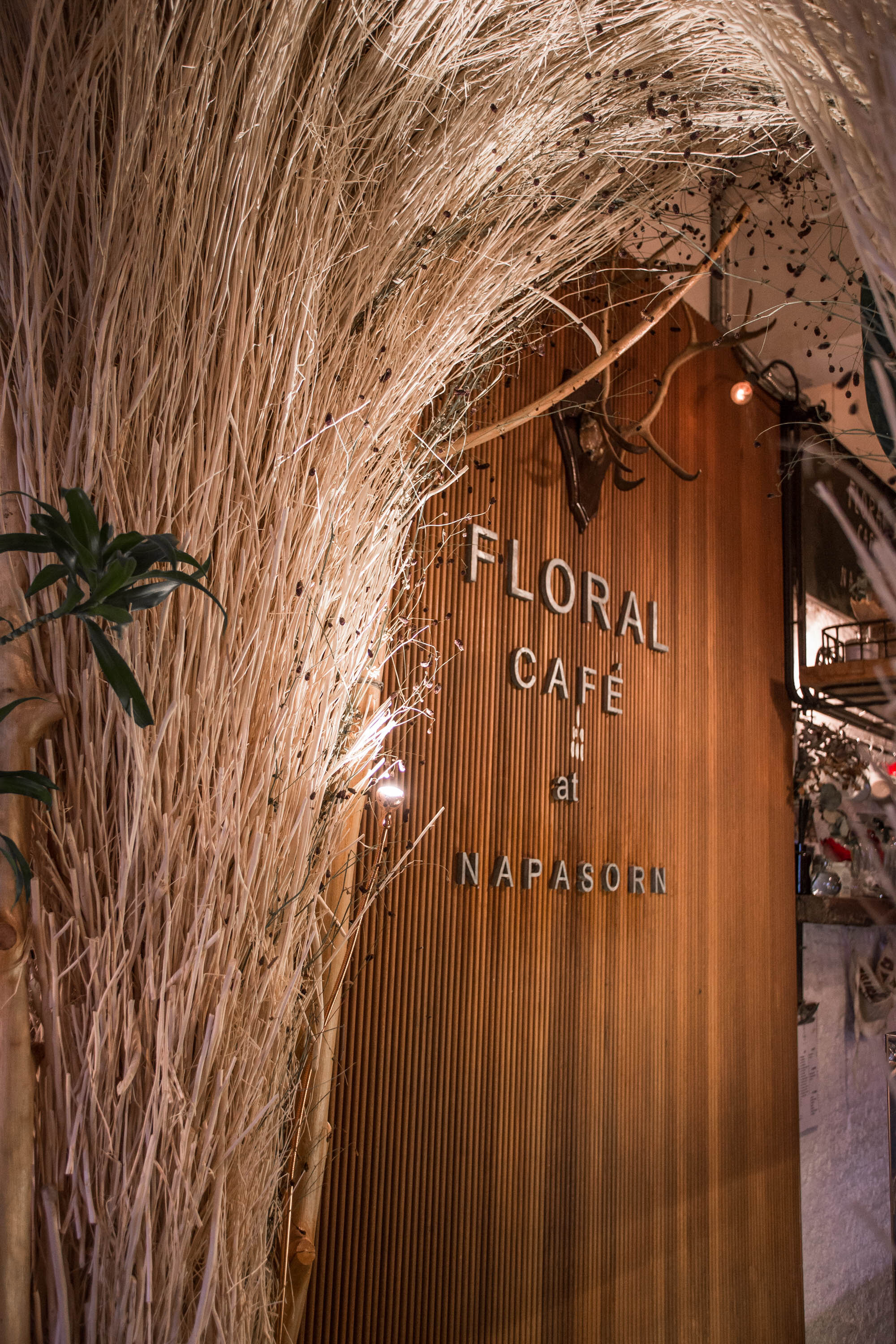 HBC x Thailand Floral Cafe.jpg