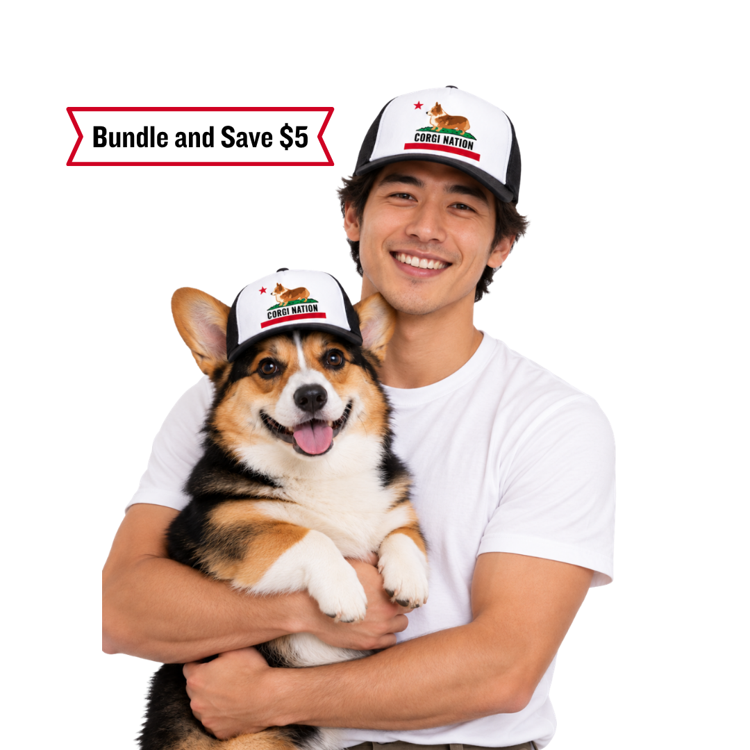 CORGI BEACH DAY (39).png