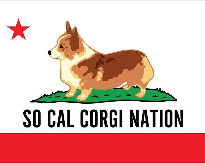 SCCN RESIZED STICKER.jpg