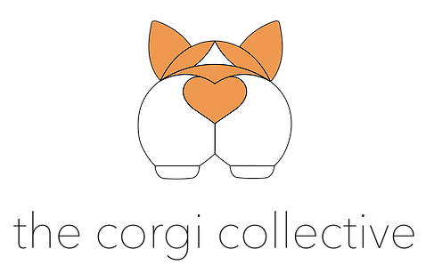corgi_collective_large.png
