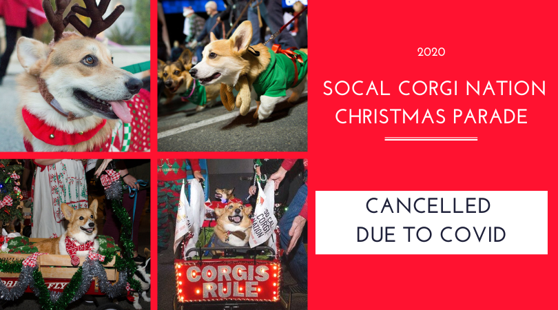 corgi events near me