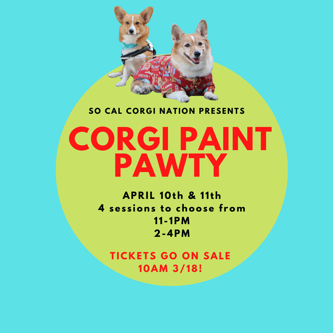 CORGI PAINT PAWTY- Spring Edition! 