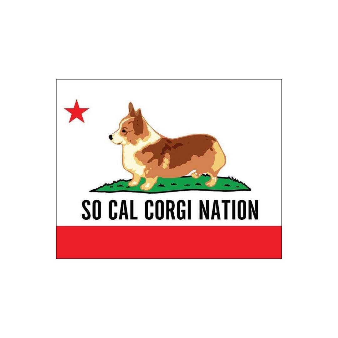 SCCN STICKER.png