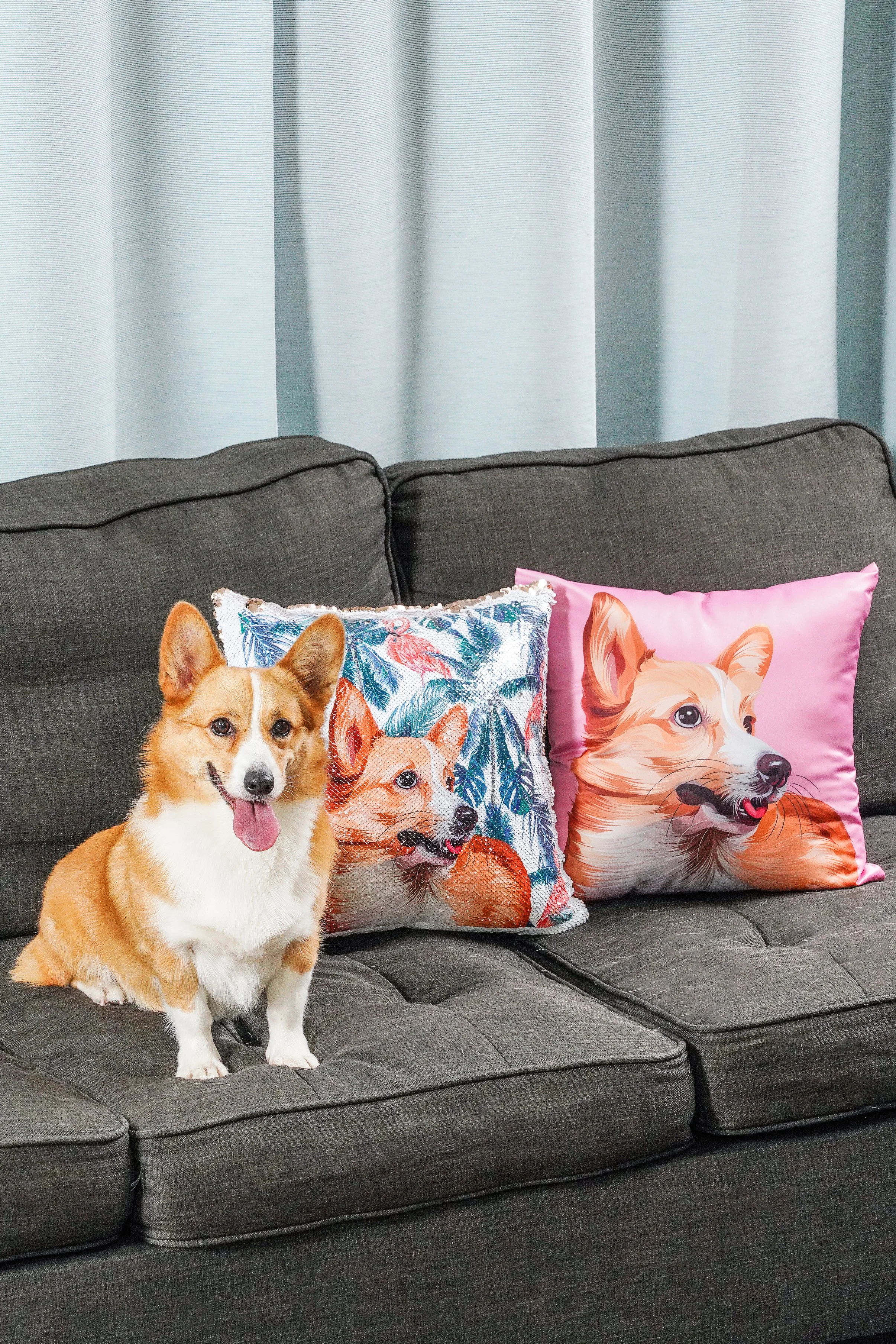 PETORAMA Product Photo.jpg