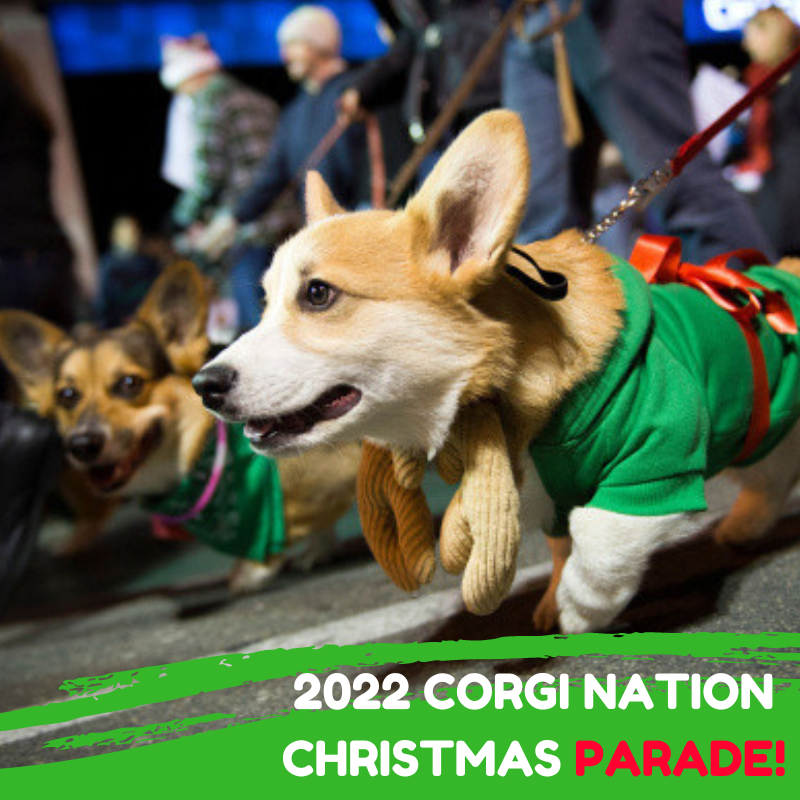 2022 So Cal Corgi Nation Christmas Parade- 7th Annual (IT'S BACK!!!!!)