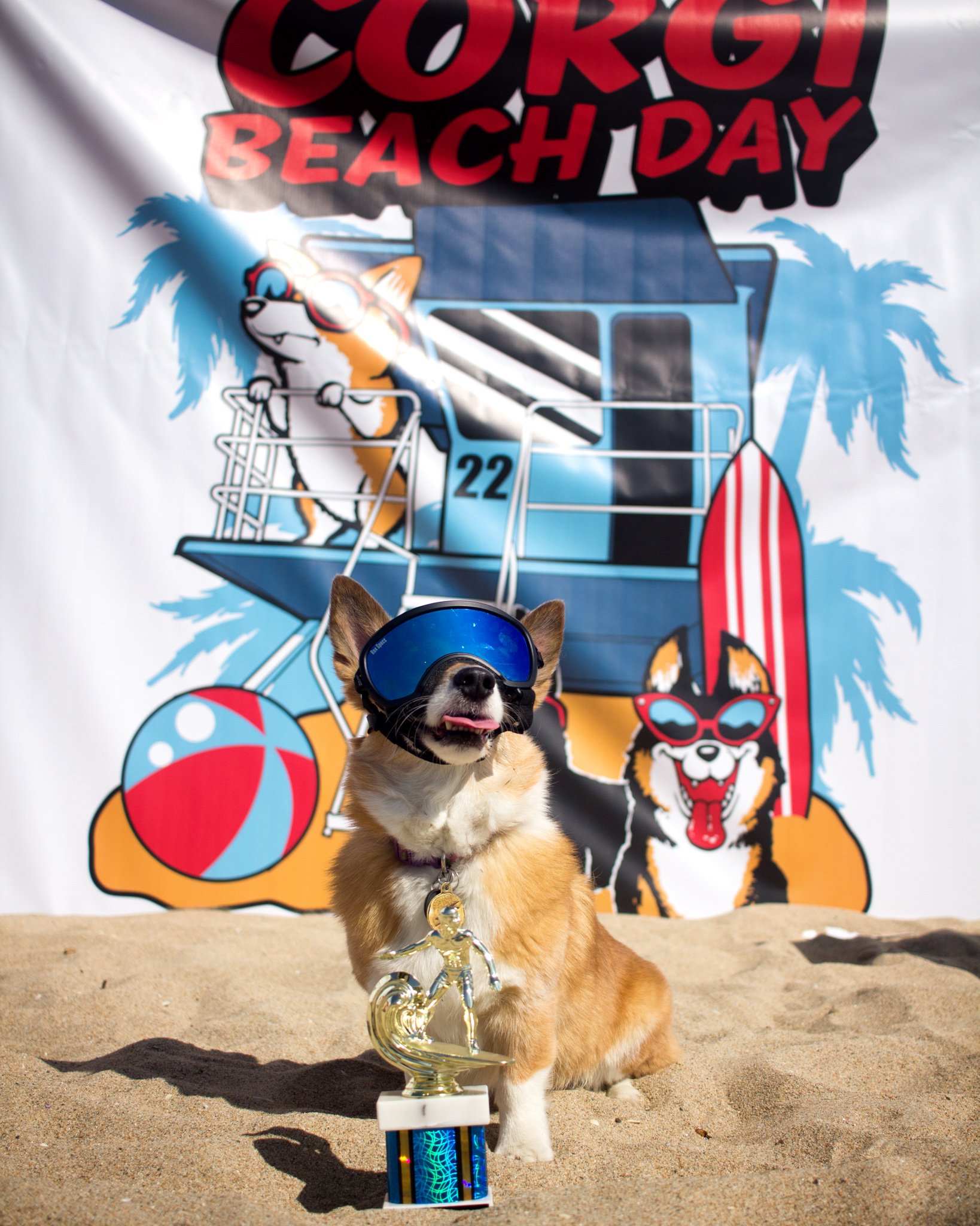 Orange County Pet and Dog Photography - by Steamer Lee - Corgi Beach Day - Southern Caliornia  63 (2).jpg
