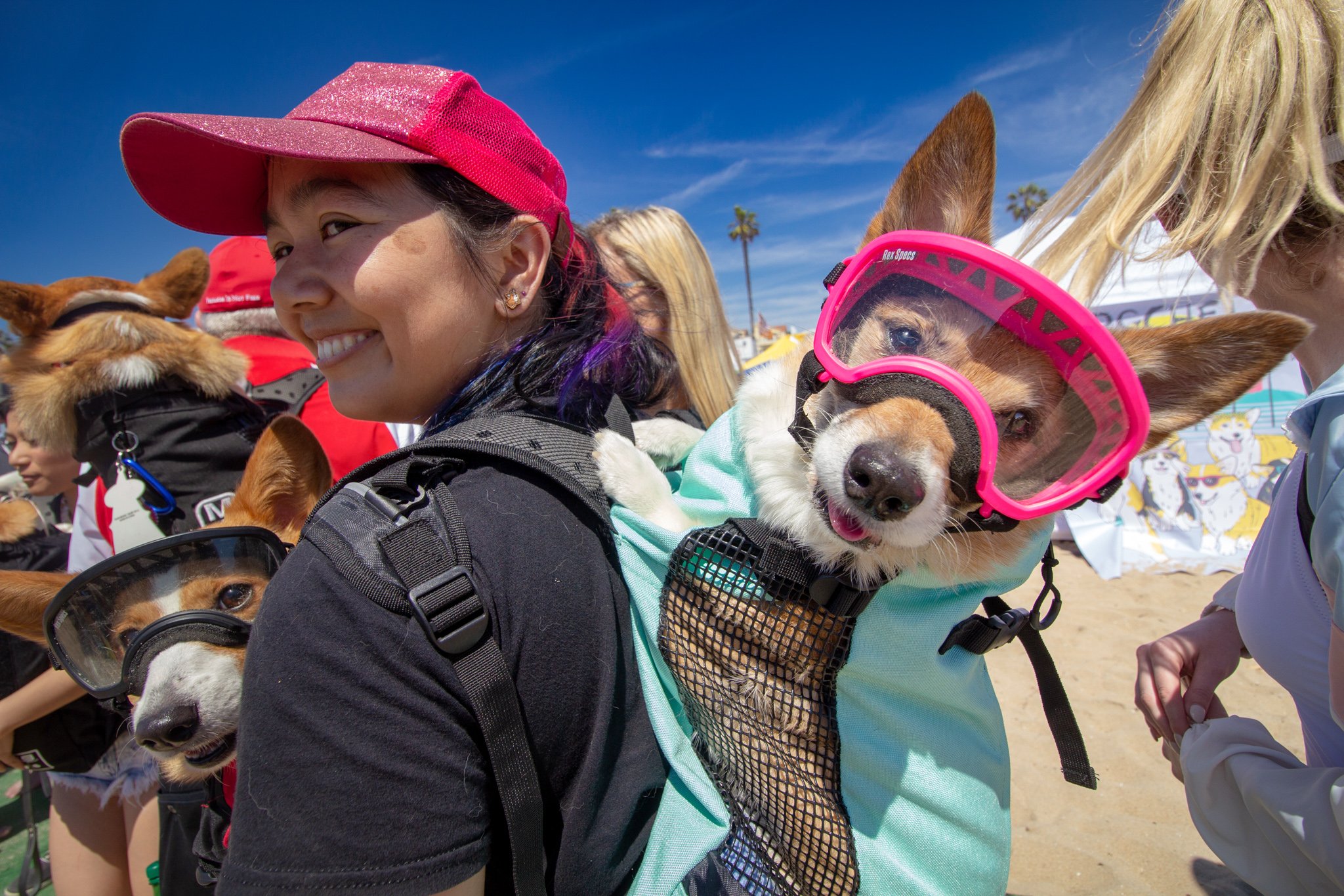 Orange County Pet and Dog Photography - by Steamer Lee - Corgi Beach Day Spring 2019 - Southern Caliornia 32 (1).JPG