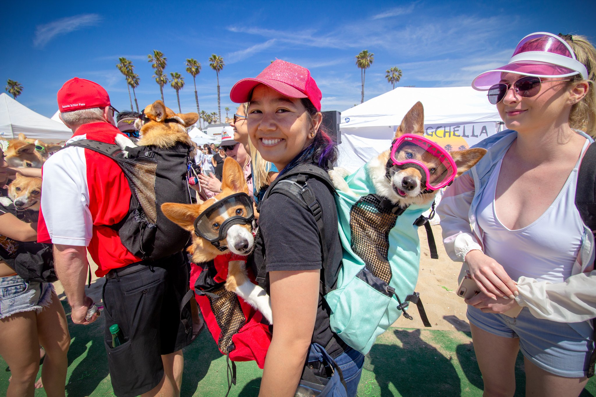 Orange County Pet and Dog Photography - by Steamer Lee - Corgi Beach Day Spring 2019 - Southern Caliornia 30 (1).JPG
