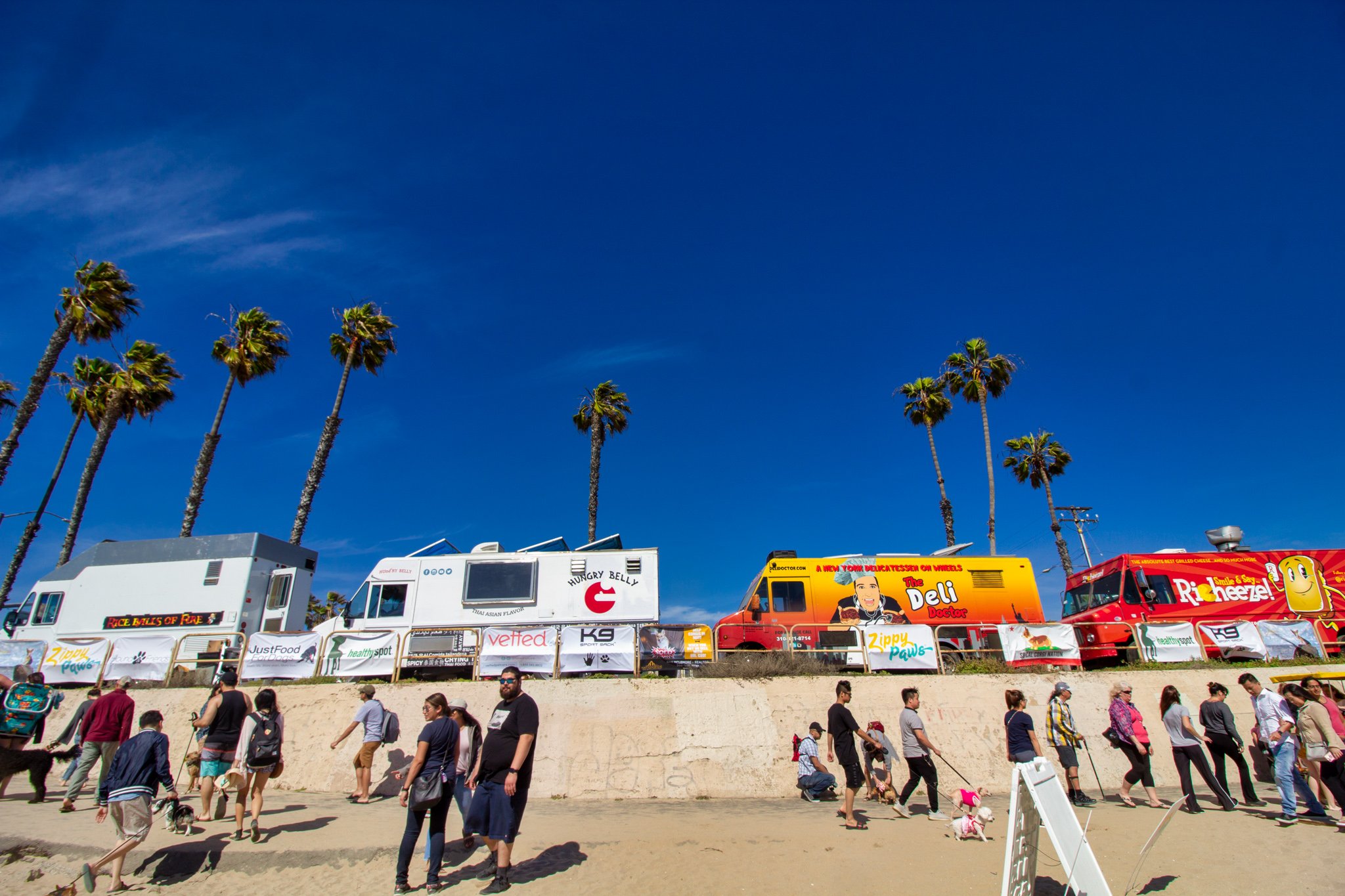 Orange County Pet and Dog Photography - by Steamer Lee - Corgi Beach Day Spring 2019 - Southern Caliornia 69 (1).JPG