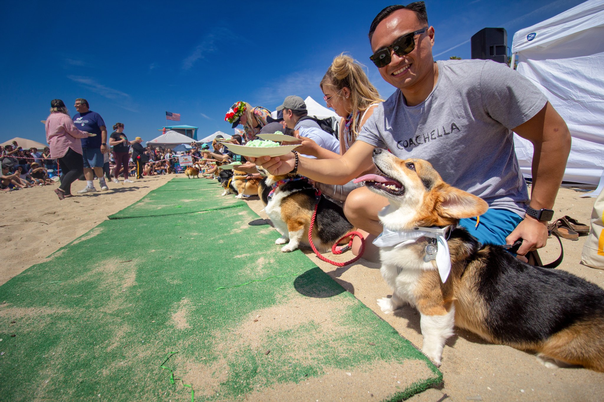 Orange County Pet and Dog Photography - by Steamer Lee - Corgi Beach Day Spring 2019 - Southern Caliornia 11 (1).JPG