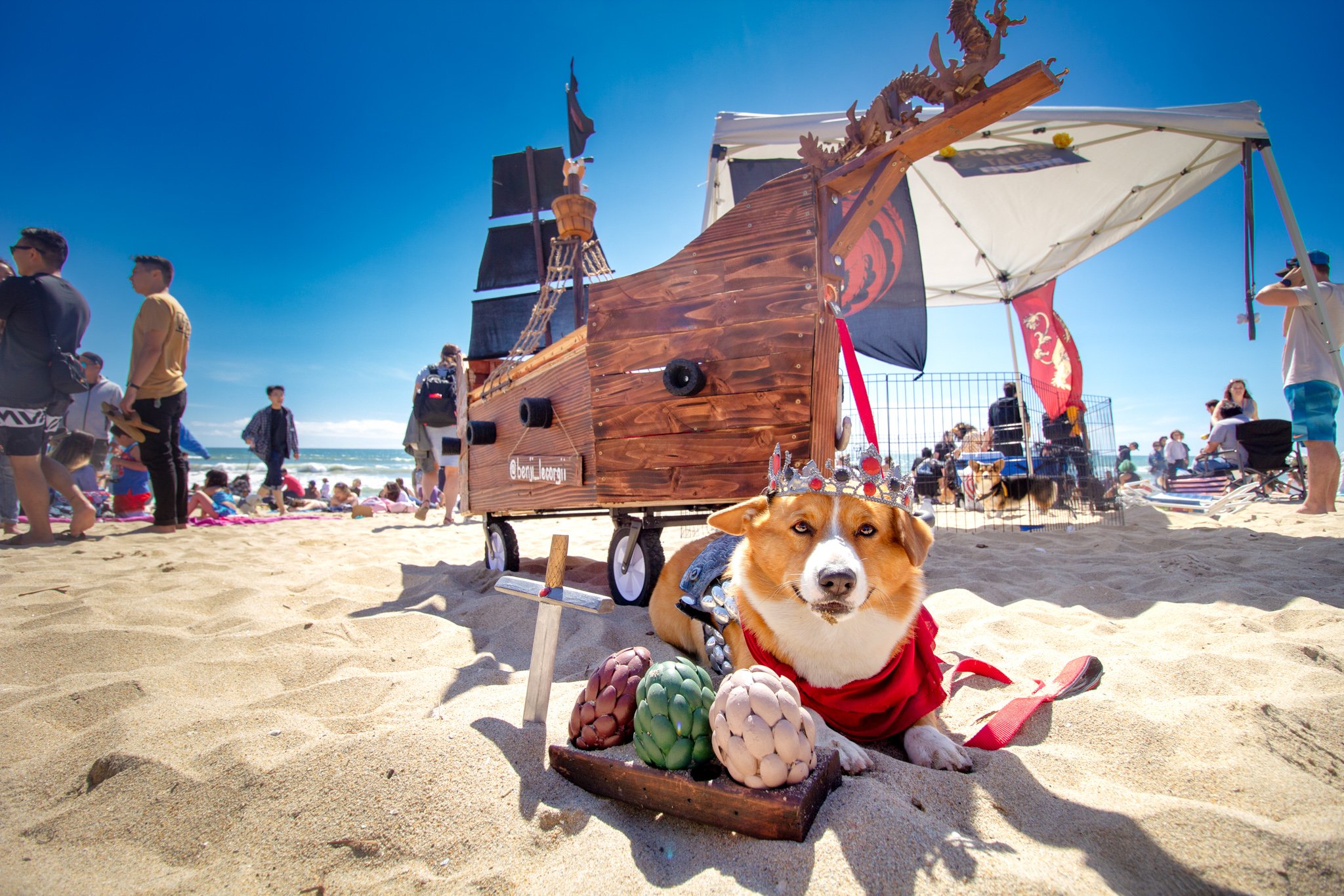Orange County Pet and Dog Photography - by Steamer Lee - Corgi Beach Day Spring 2019 - Southern Caliornia 53.JPG