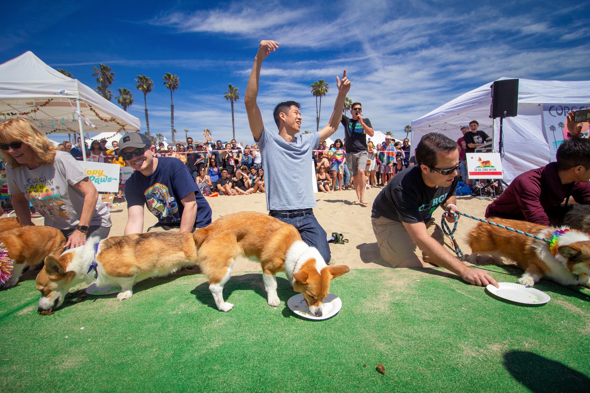 Orange County Pet and Dog Photography - by Steamer Lee - Corgi Beach Day Spring 2019 - Southern Caliornia 14.JPG