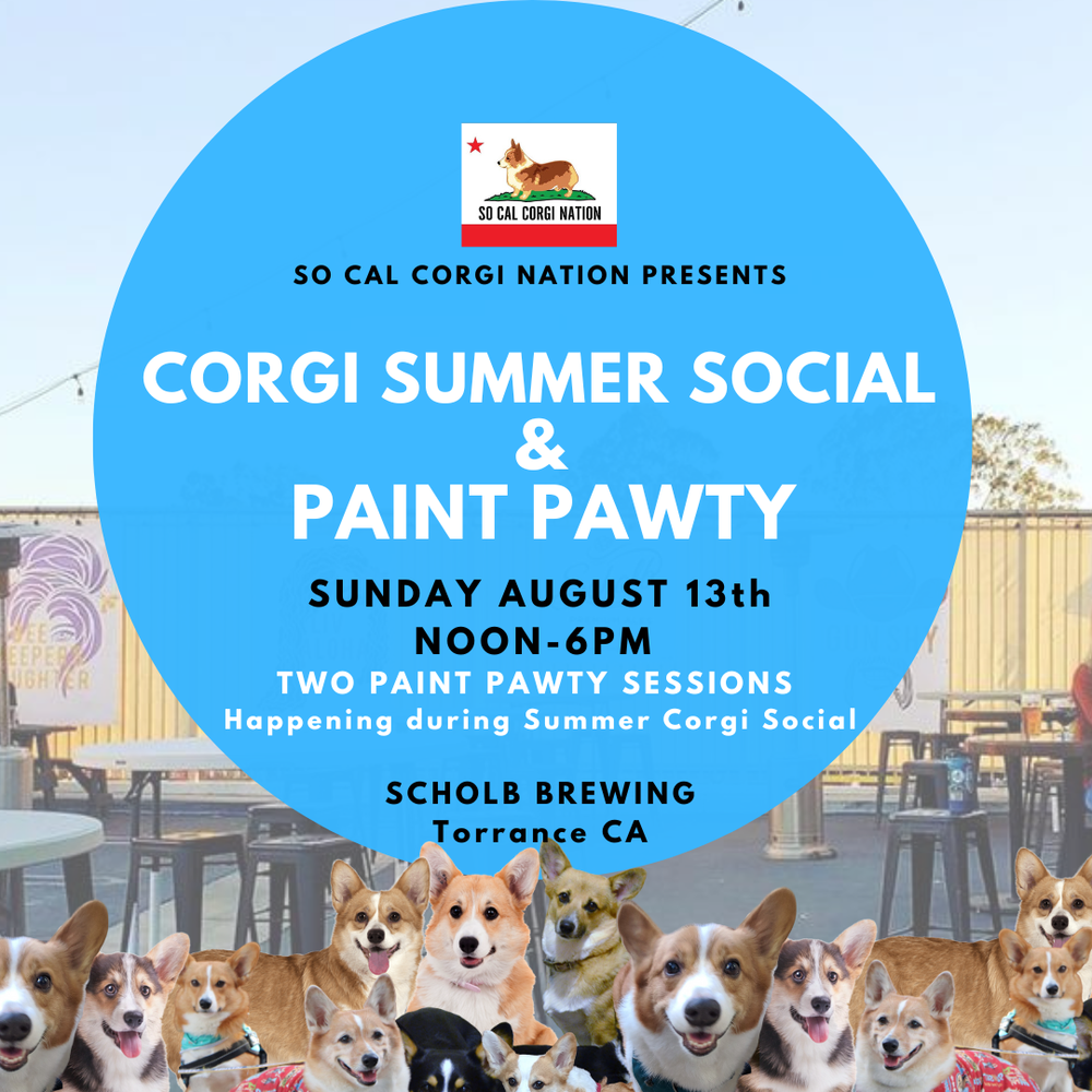 Evento reúne mais de 600 cães da raça corgi em uma praia da Califórnia -  Portal do Dog