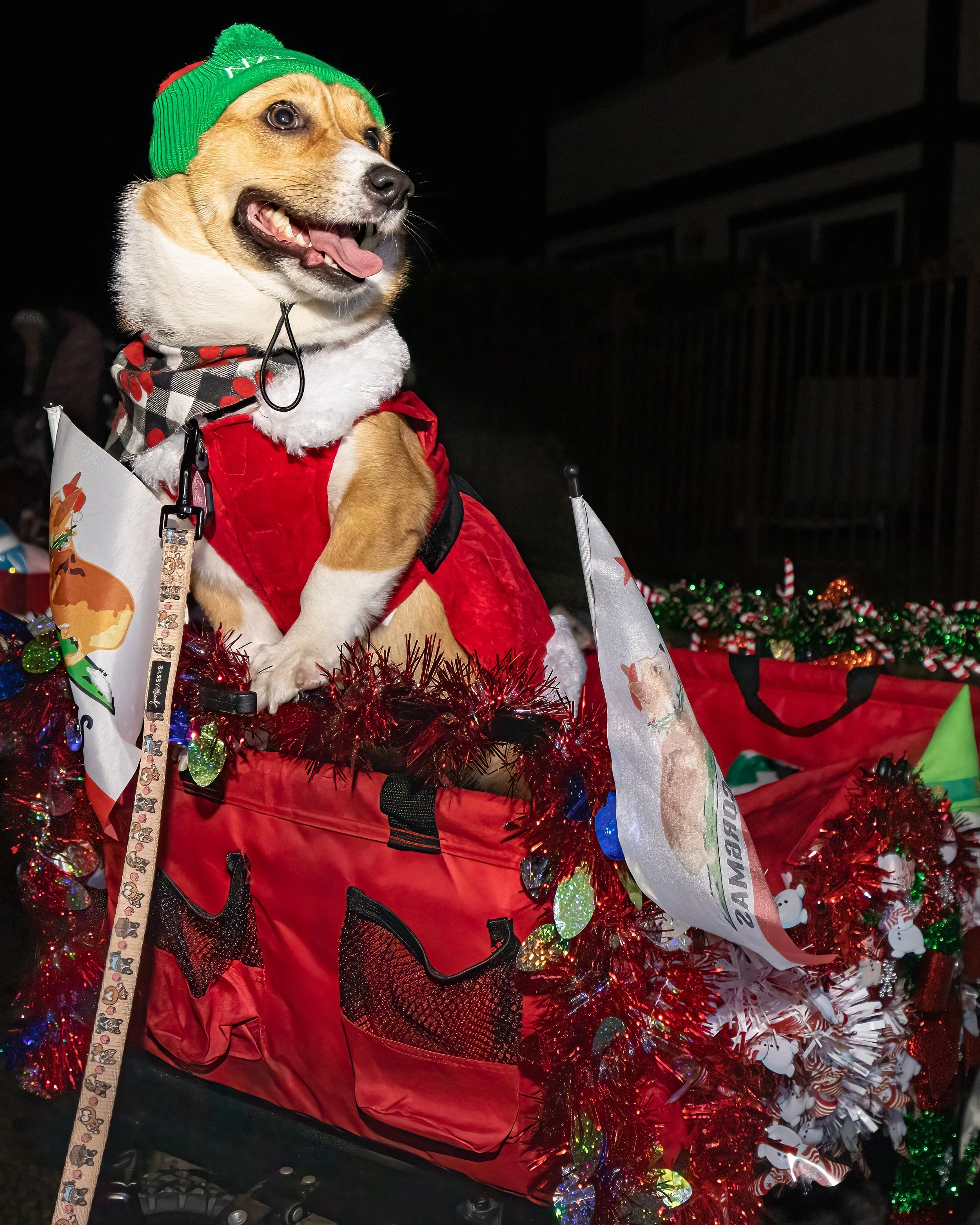 CorgiChristmasParade2022-Float2.jpg