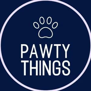 59896173_390768321652136_7010921790117511168_n (1).jpeg