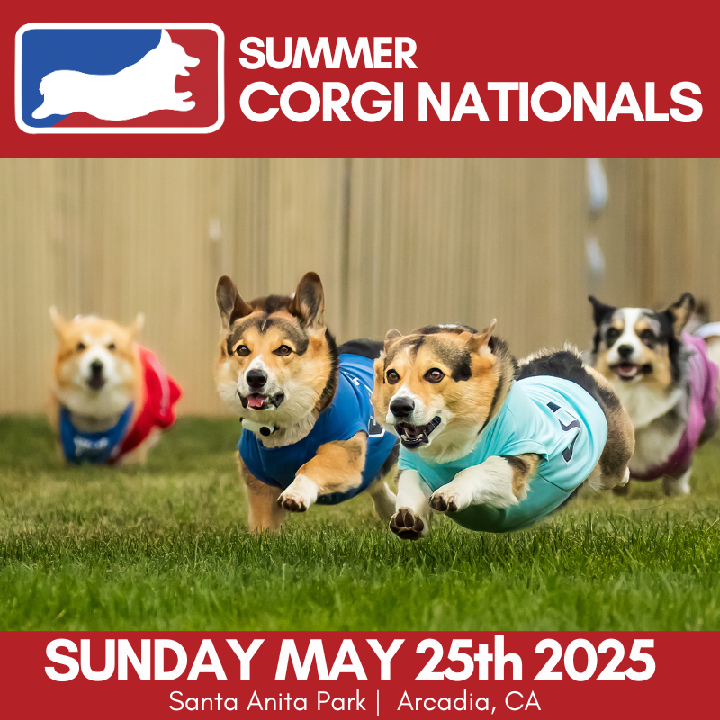2025 SUMMER CORGI NATIONALS