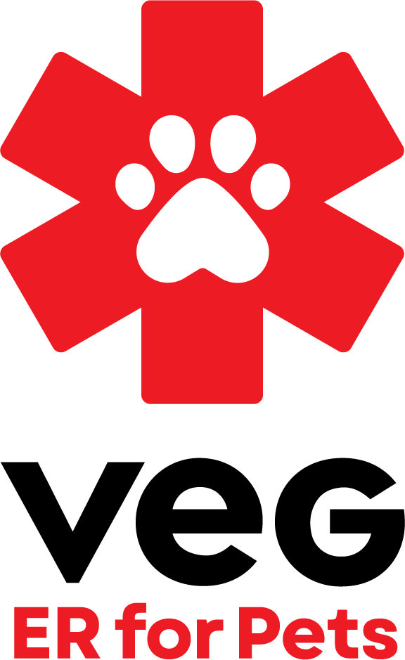 VEG_Logo_Stacked (6).png