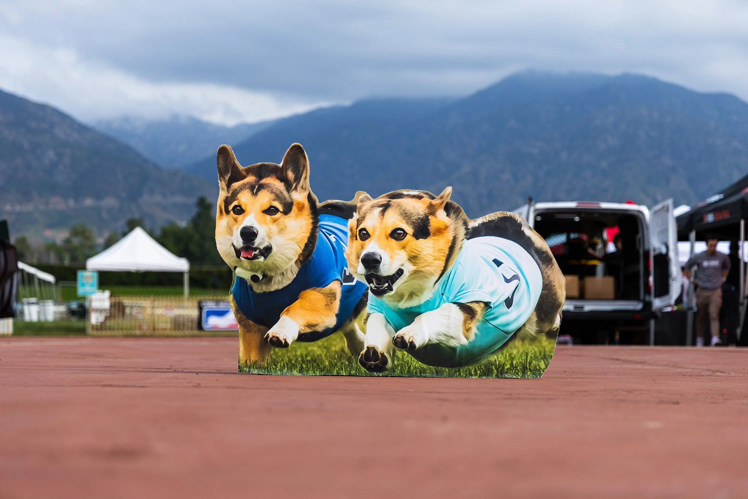 20260215_2026 winter corgi nationals-OU3A7619.jpg