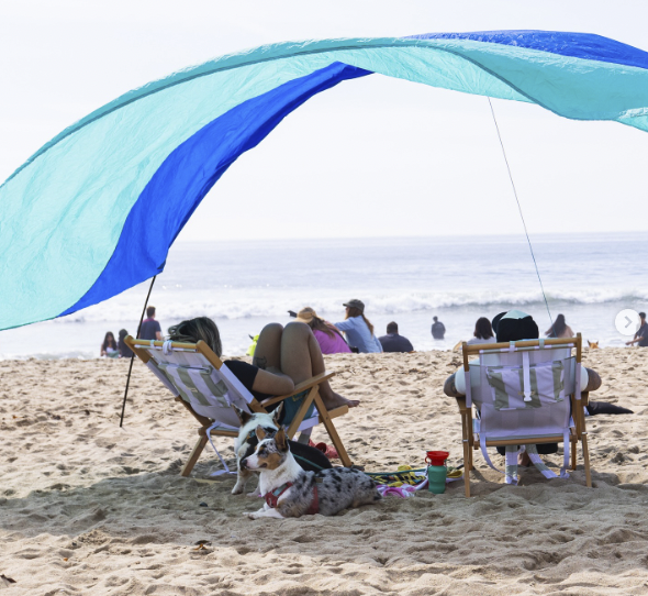 Screenshot 2026-03-08 at 3.22.55 PM.png