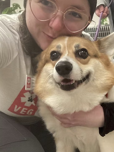 Screenshot 2026-01-31 at 3.39.01 PM.png