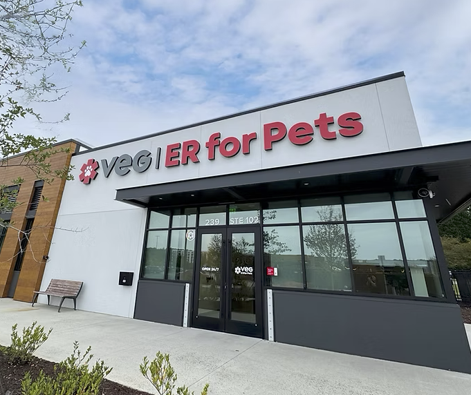 Screenshot 2026-01-31 at 3.38.54 PM.png