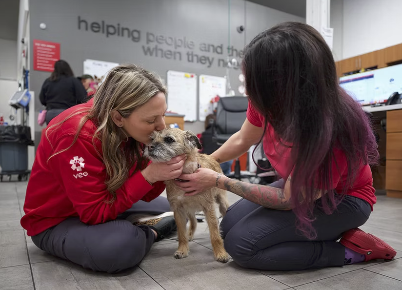 Screenshot 2026-01-31 at 3.38.42 PM.png