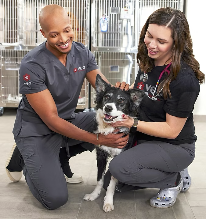 Screenshot 2026-01-31 at 3.37.28 PM.png