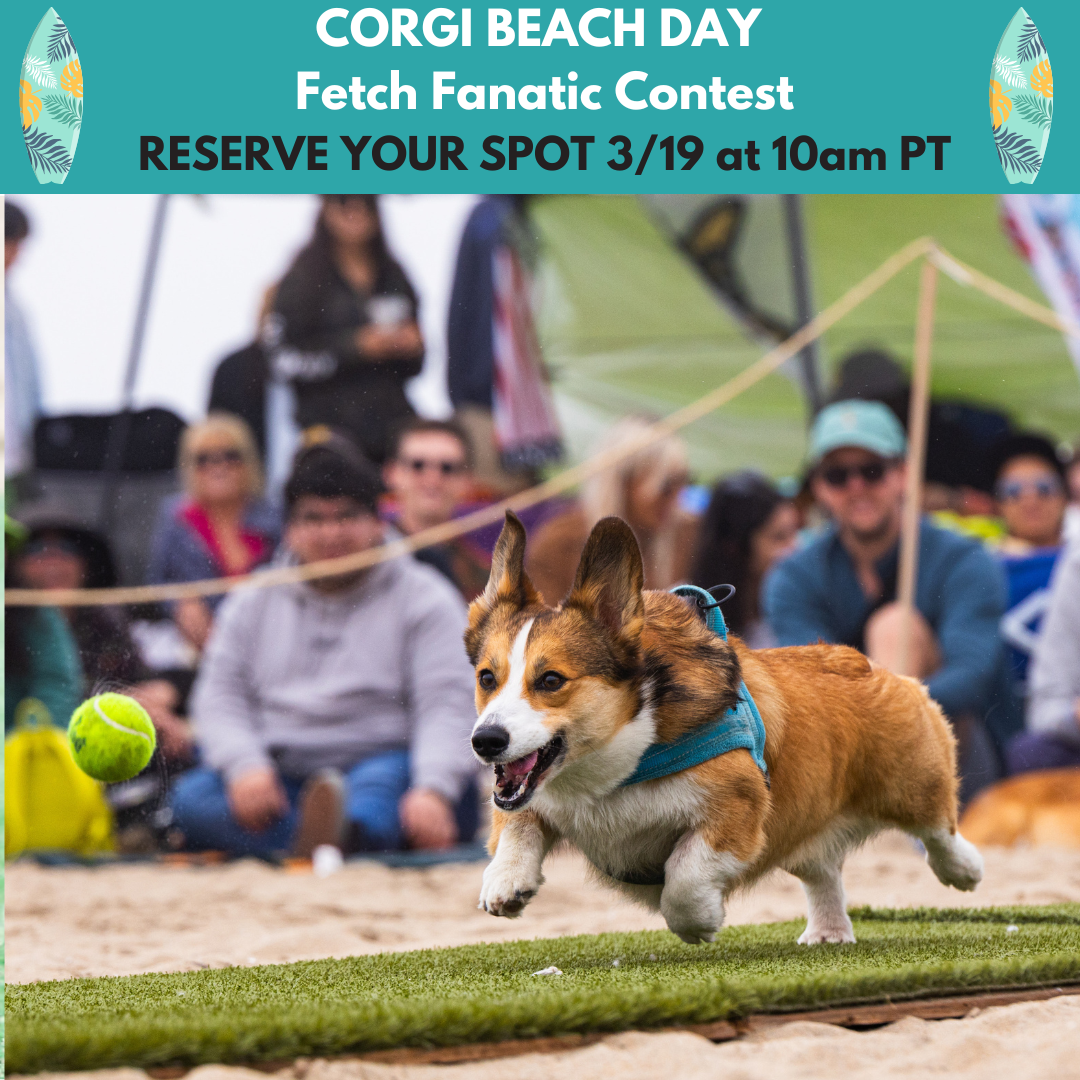 FALL 2025 CONTEST GRAPHICS (1).png