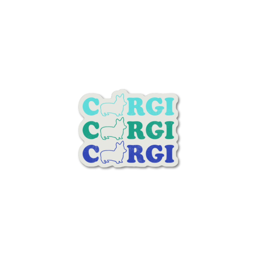 C3 Magnet