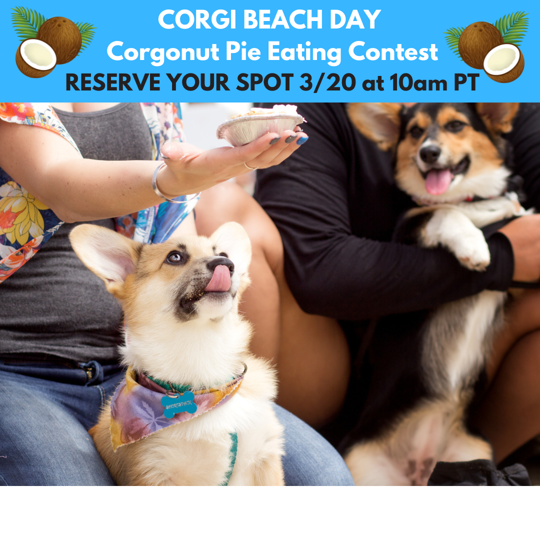 FALL 2025 CONTESTS.png