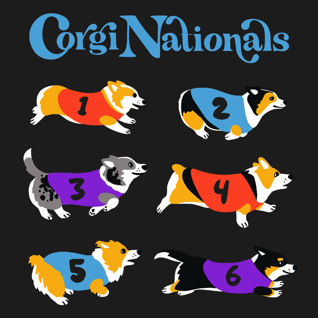 FAST & FURRYOUS SHIRT (22).png