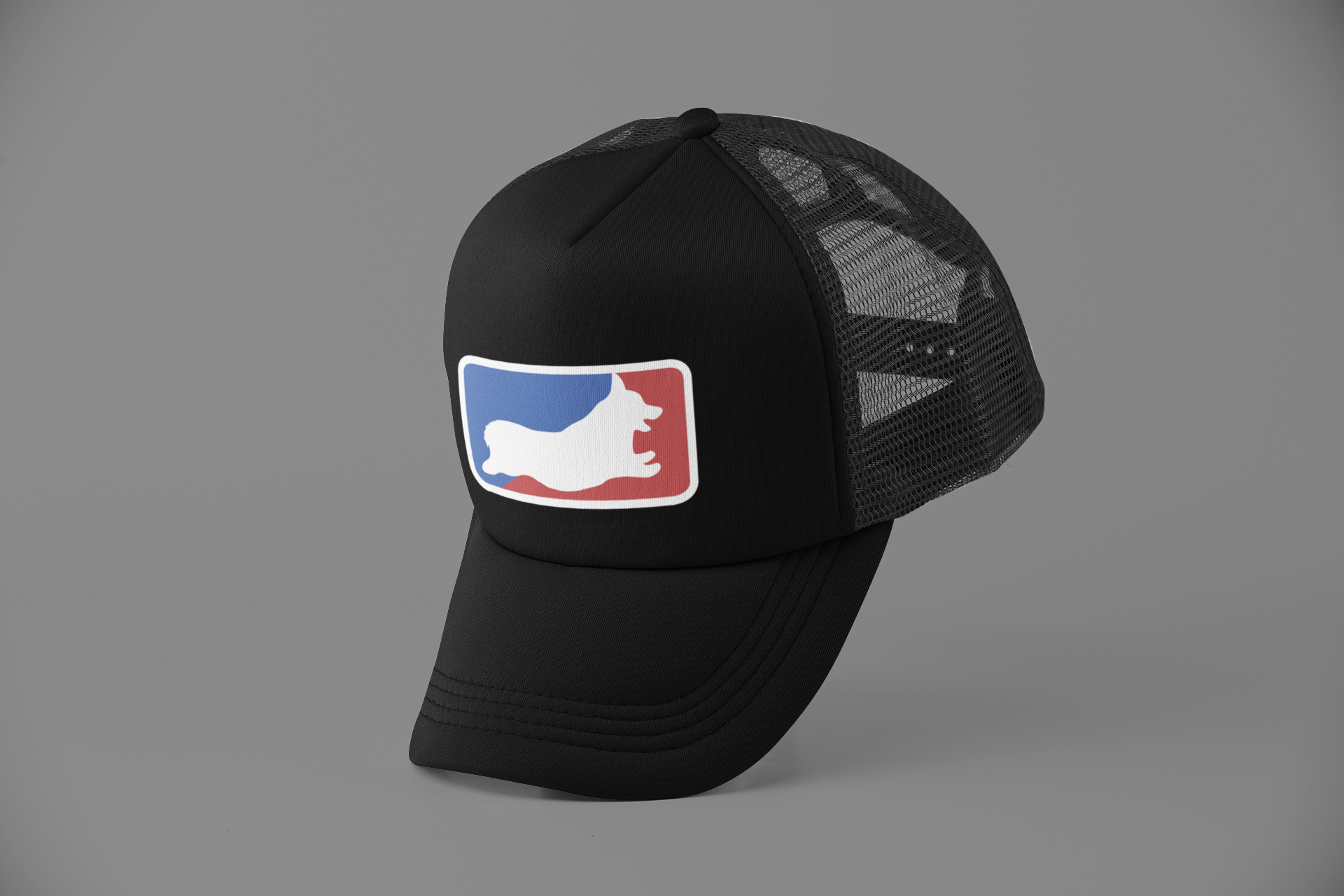 mockup-of-a-trucker-hat-balancing-on-its-bill-11751 (1).png
