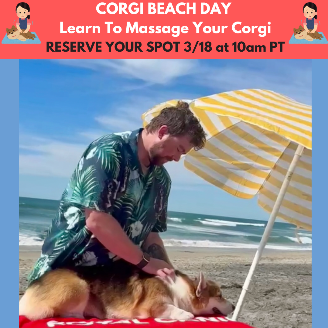 FALL 2025 CONTEST GRAPHICS (2).png