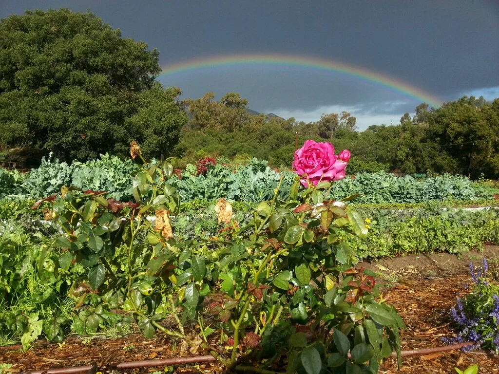 Spectacular rainbow after long awaited rains.