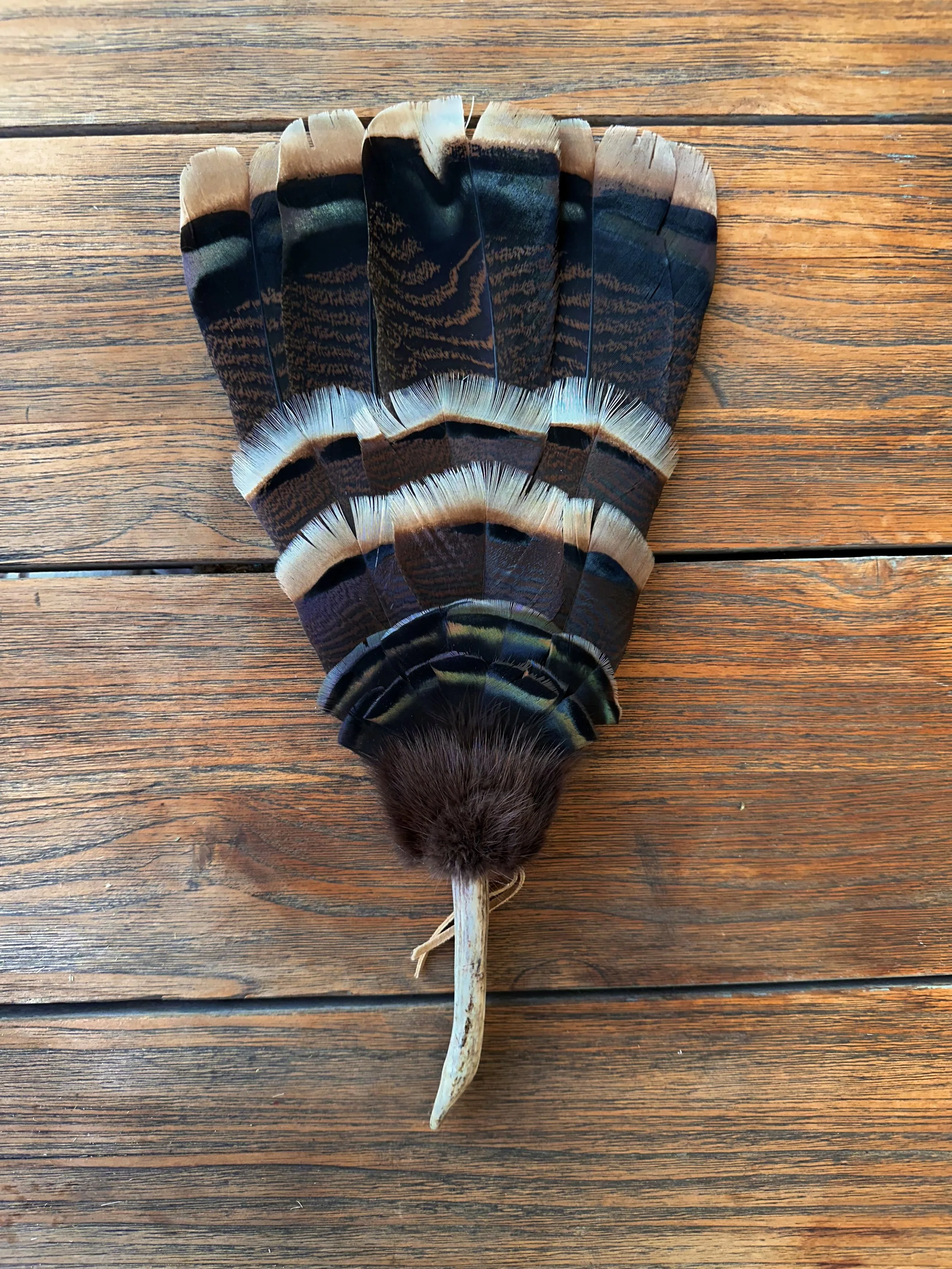 Turkey Tail Feather Fan