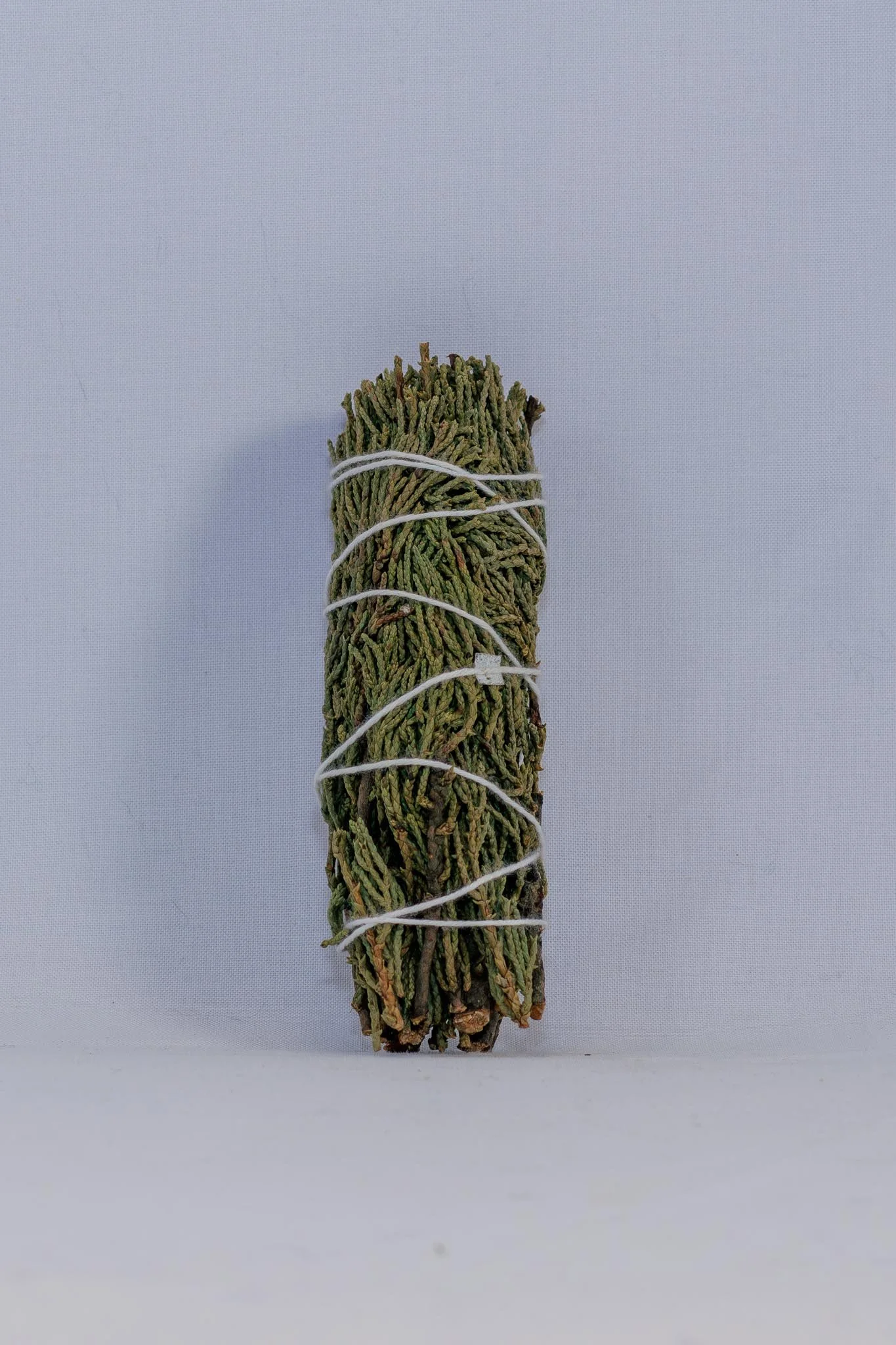 Medium Juniper Bundle