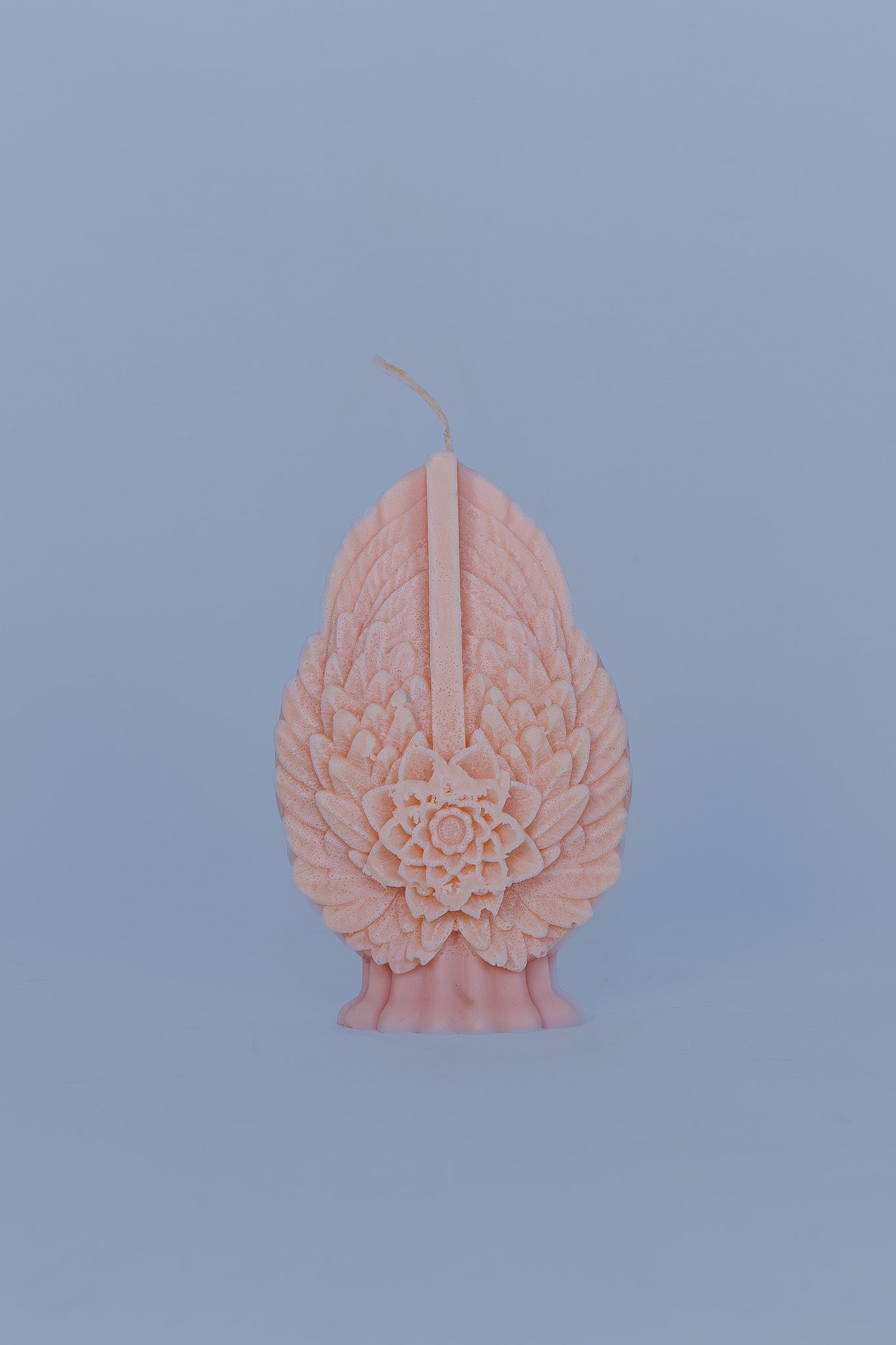 Celestial Wings - Rose