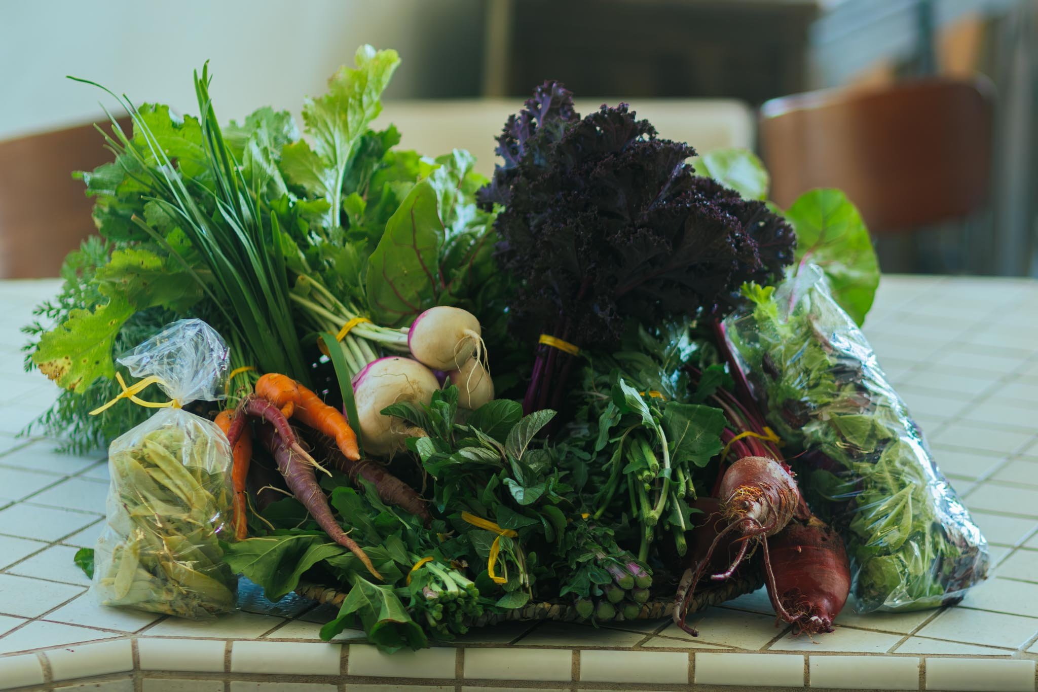 Single Week Small CSA Box