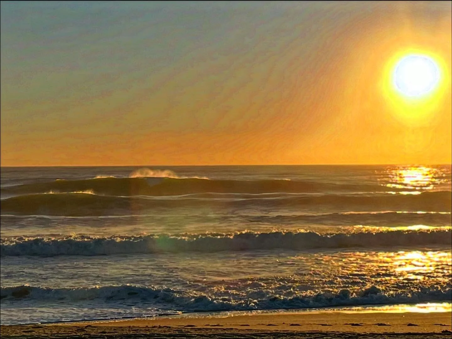 Fall bump. Dawn session, sans booties and gloves. Last  hydrangea. Almost Nov.