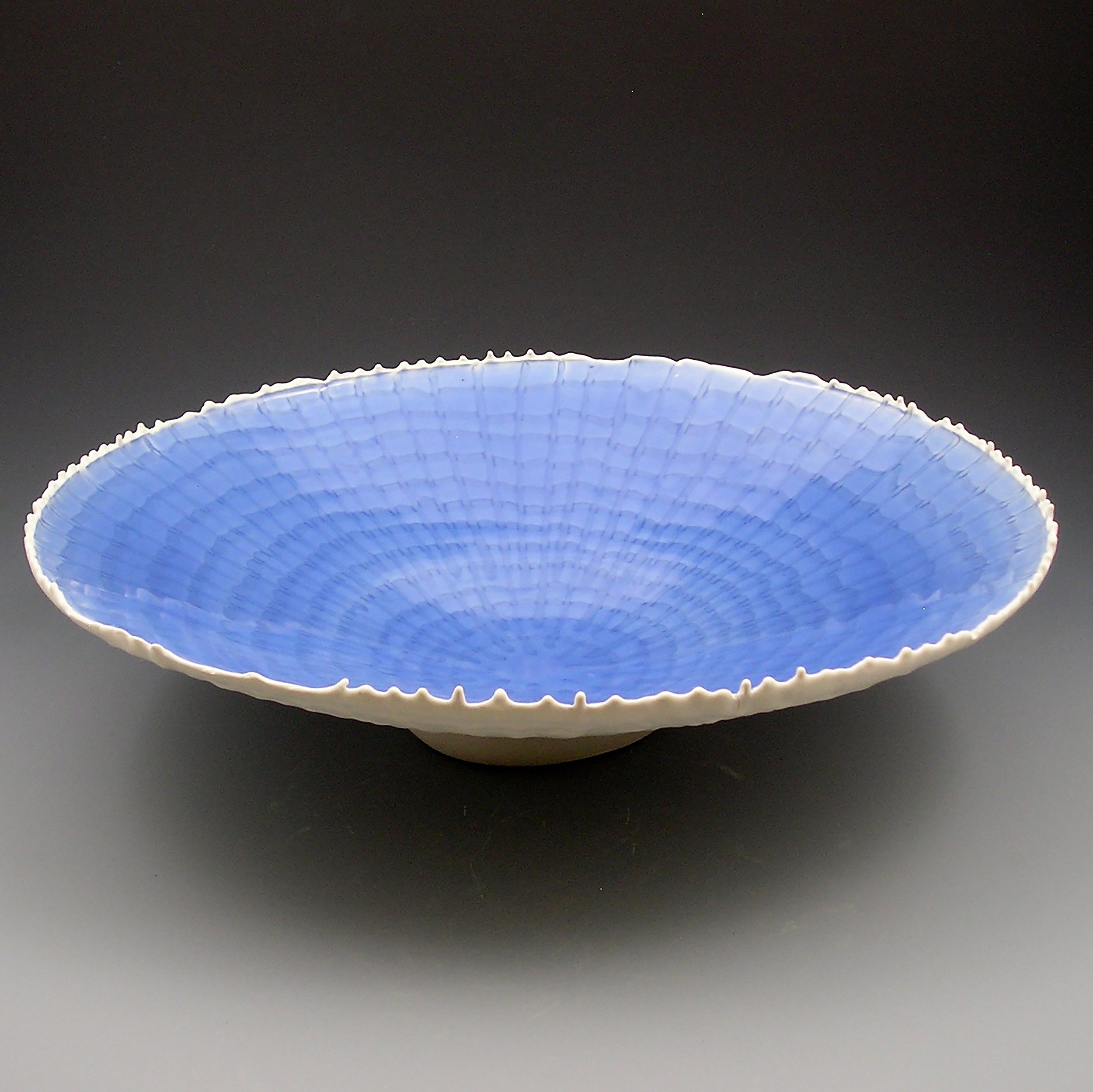 insertCH09#PS002.jpg     caption     blue bowl    19%22 x 4.5%22    slip cast porcelain      .jpg