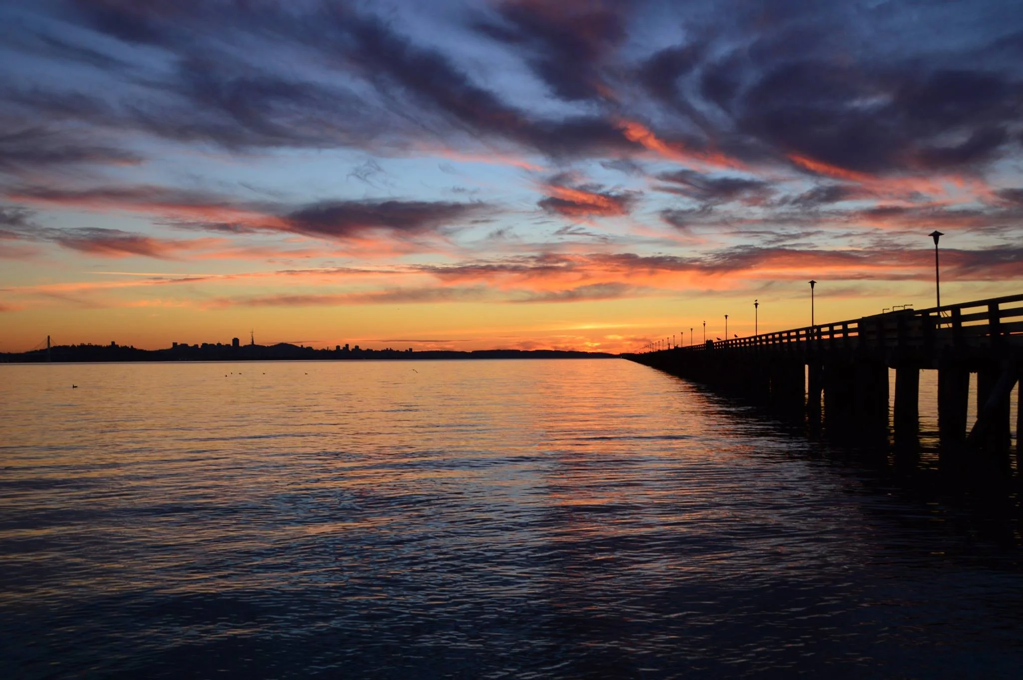 berkeley pier.jpg