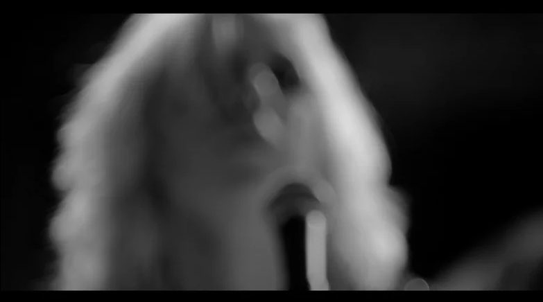 "Sons & Daughters" Video