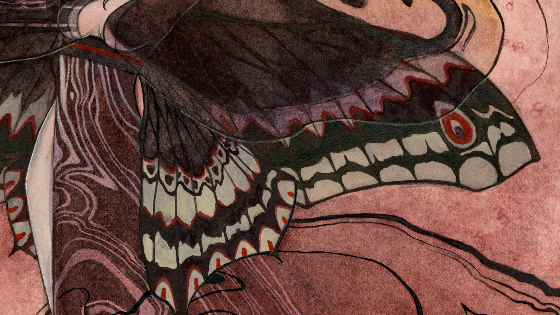 Calleta-detail007.png