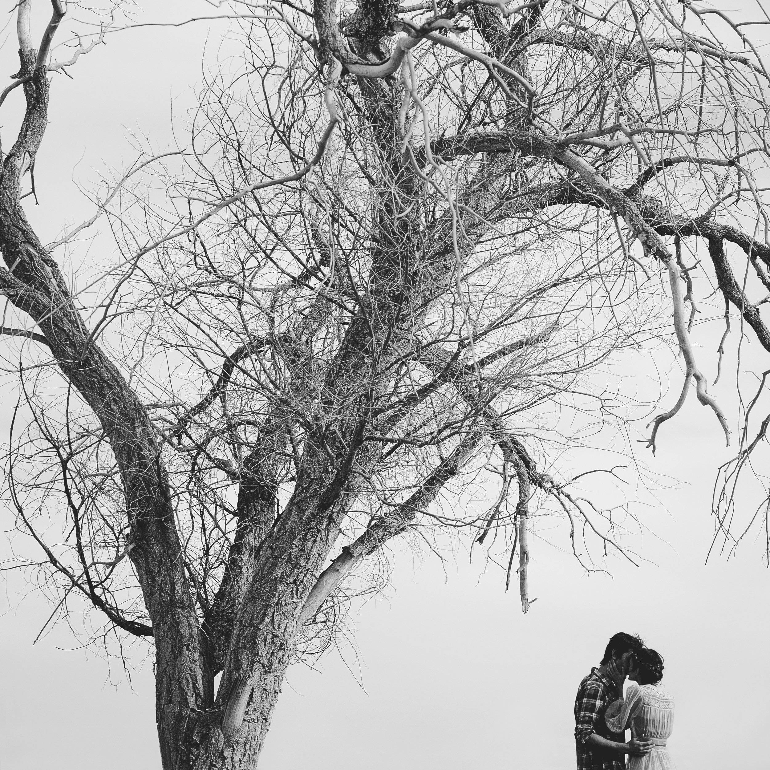 © duston-todd-fashion-couples-portrait-tree.jpg