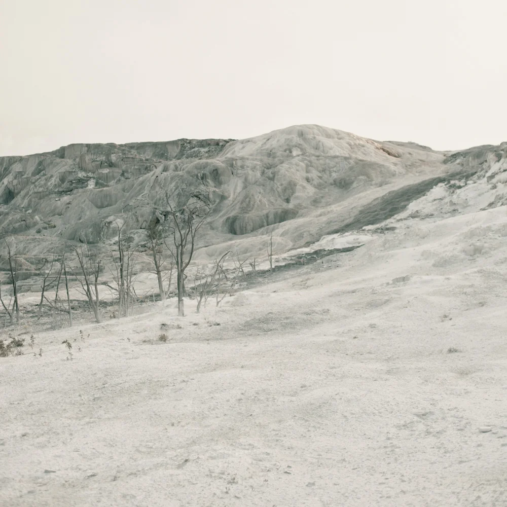 © duston todd_fine art_mammoth_yellowstone.jpg