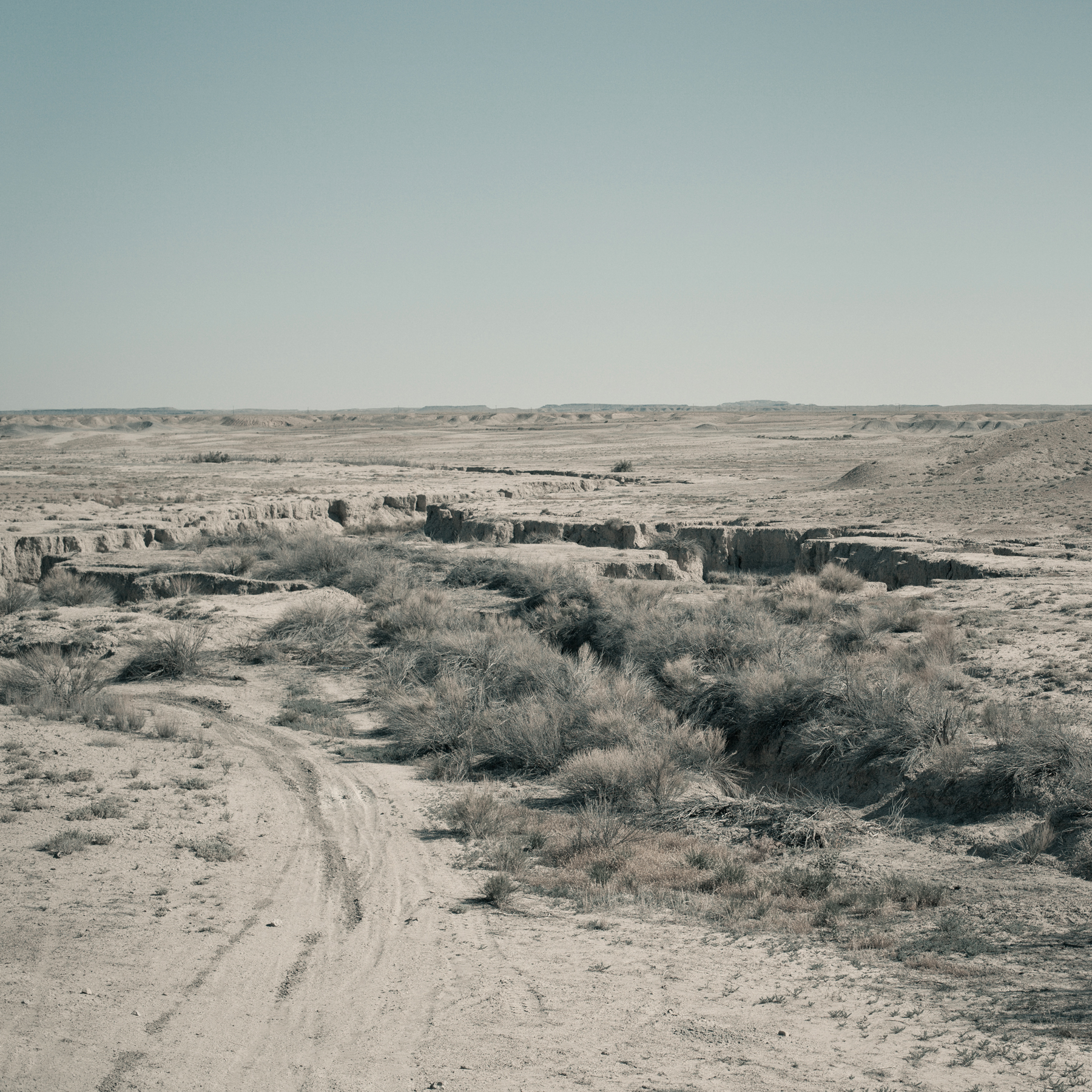 © duston todd_fine art_desert_landscape_texture.jpg
